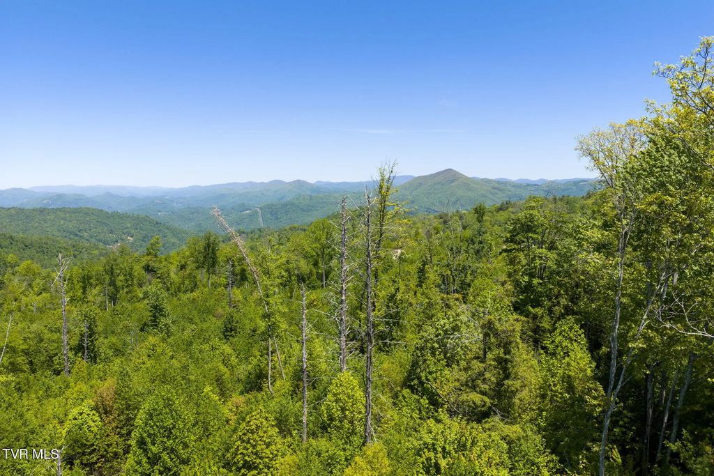 Tbd Walnut Mountain Road Tbd, Roan Mountain