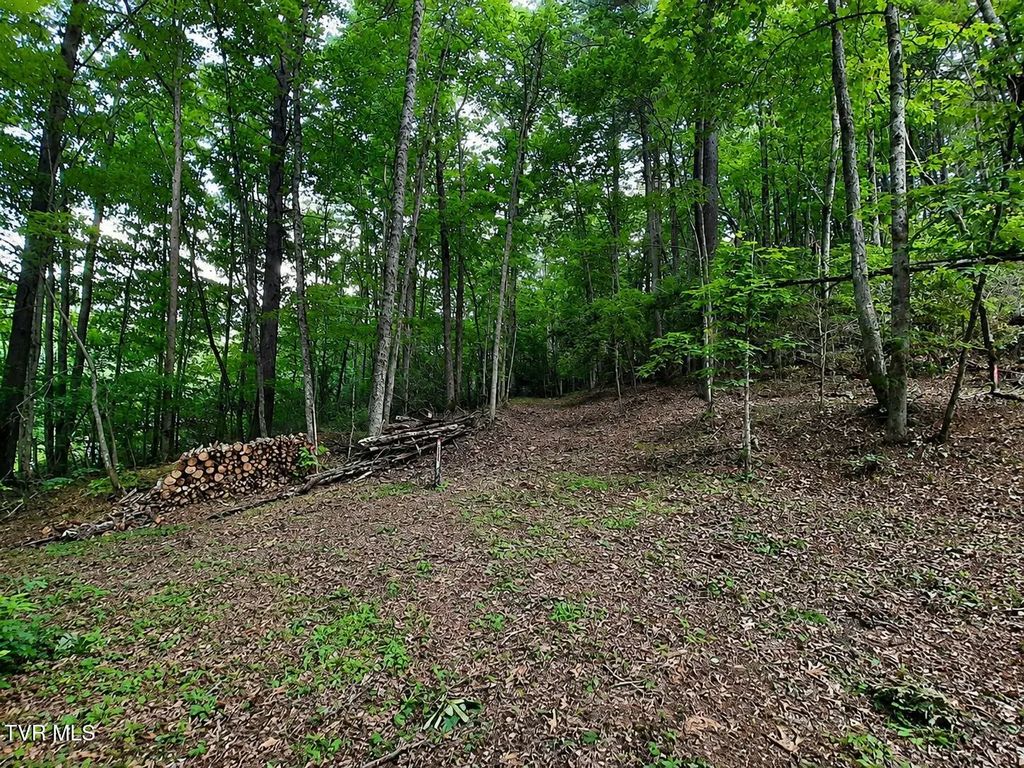 Tbd Willow Lane, Greeneville