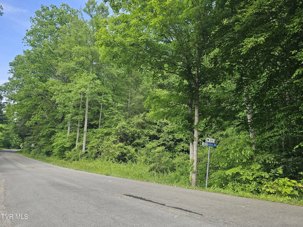 Tbd Indian Creek Road, Wise