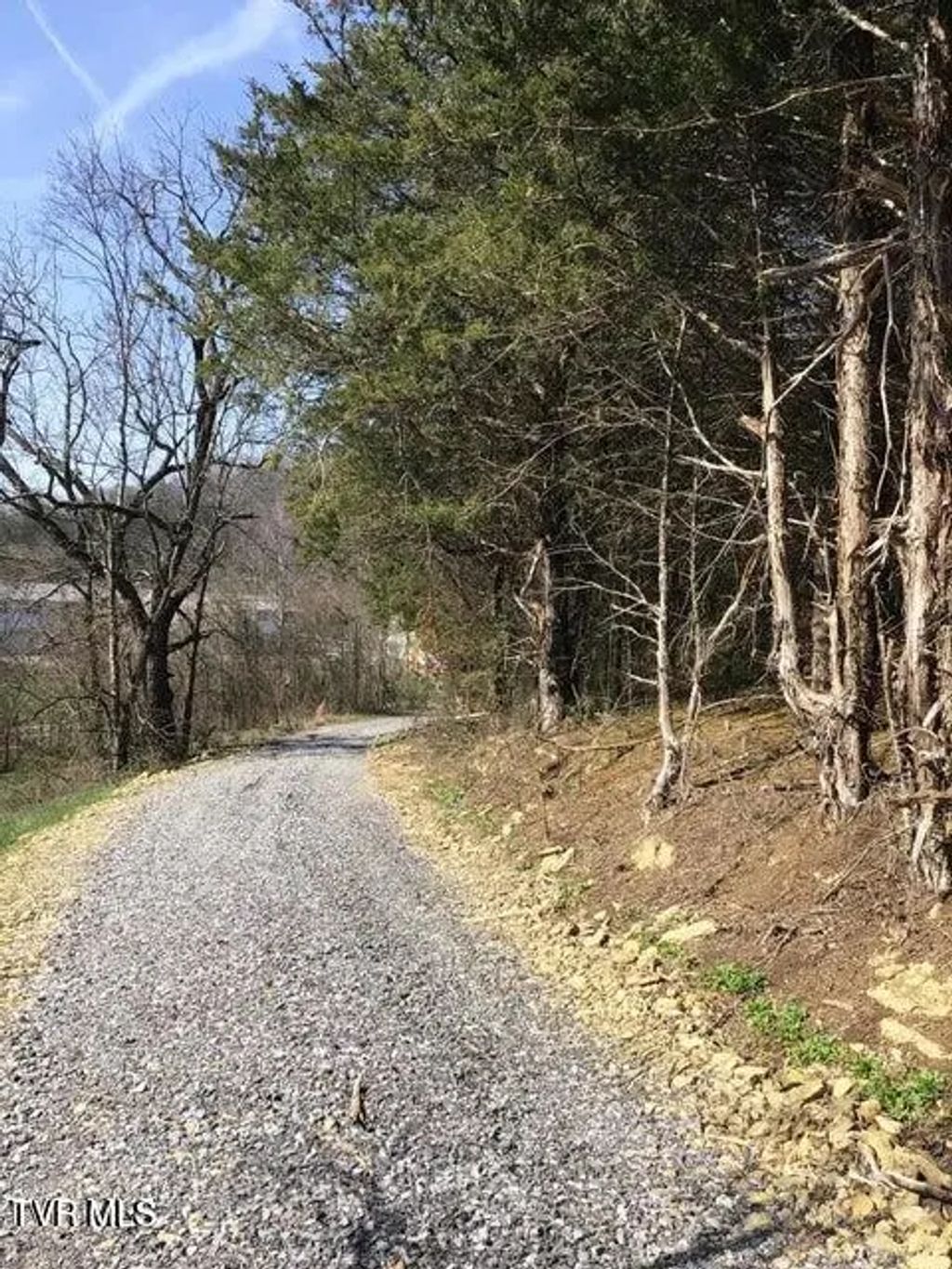 8.24 Ac West Andrew Johnson, Bulls Gap