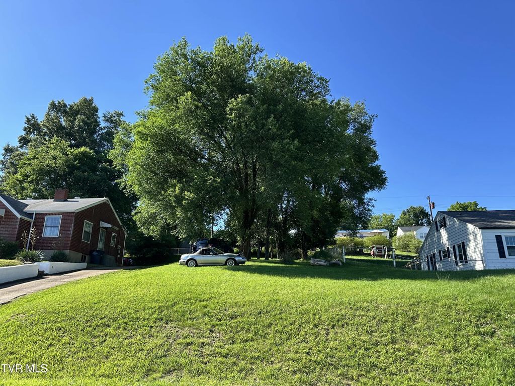 Tbd Mullins Street, Kingsport