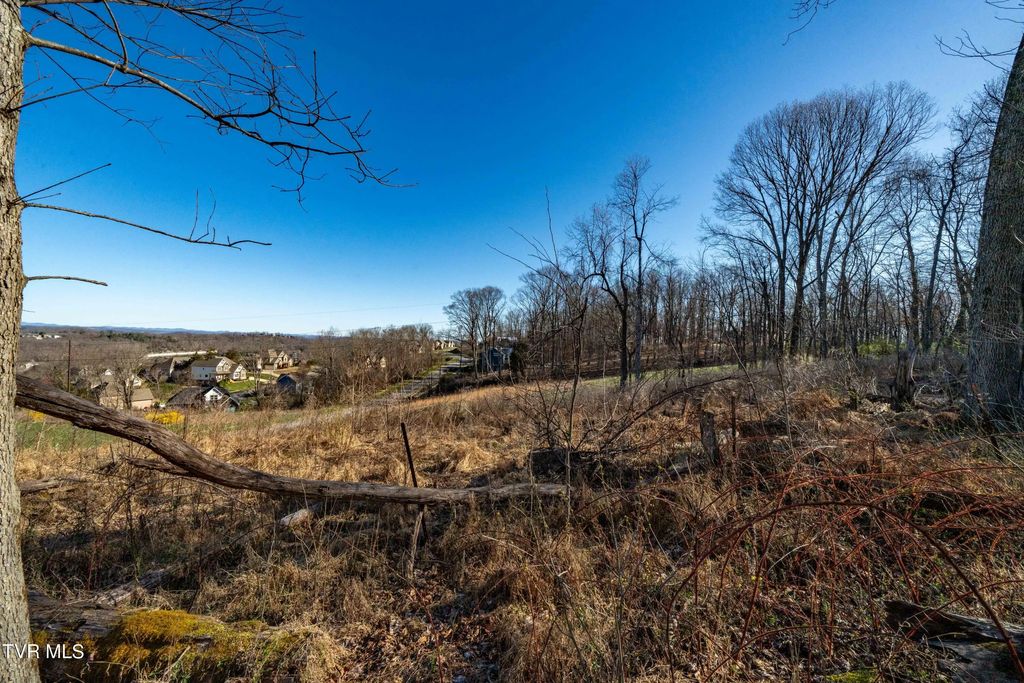 1579 Becky Drive, Johnson City