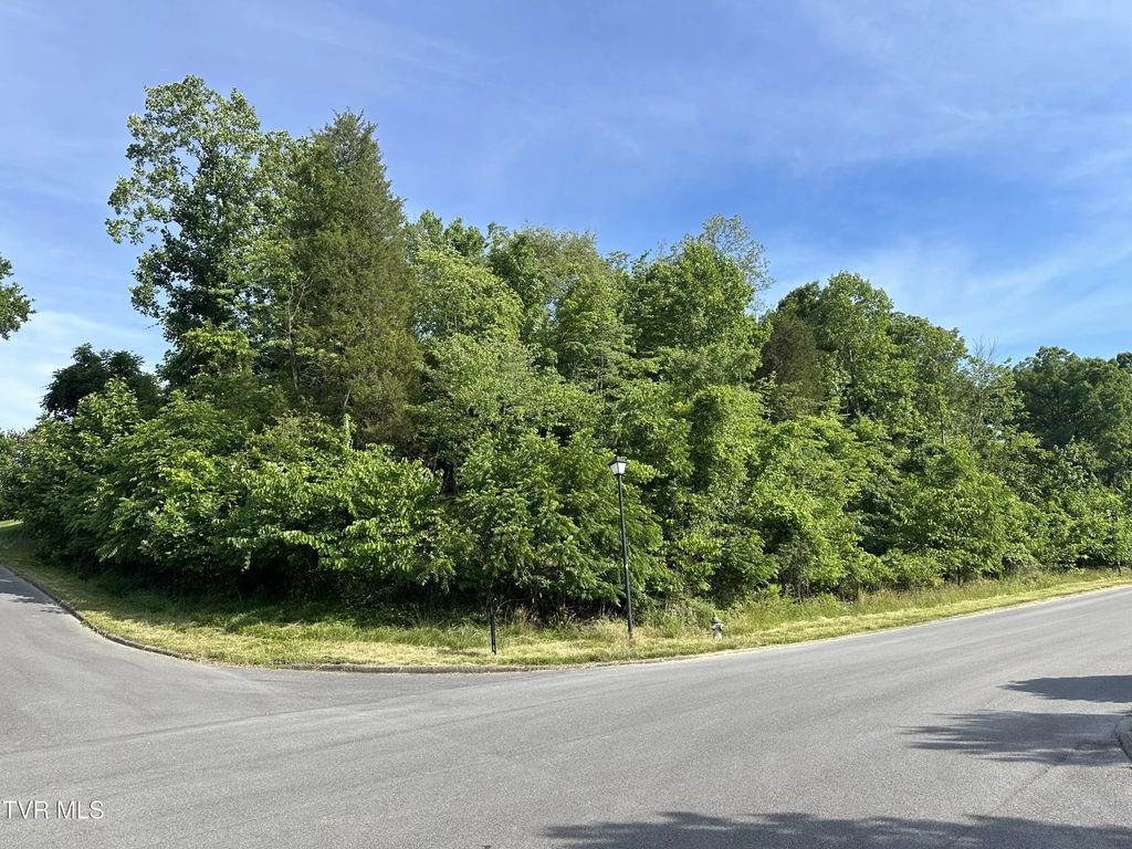 Lots 9 &10 White Street, Kingsport