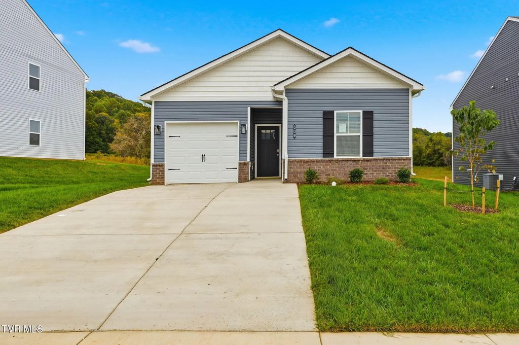 309 Chimney View Loop, Blountville