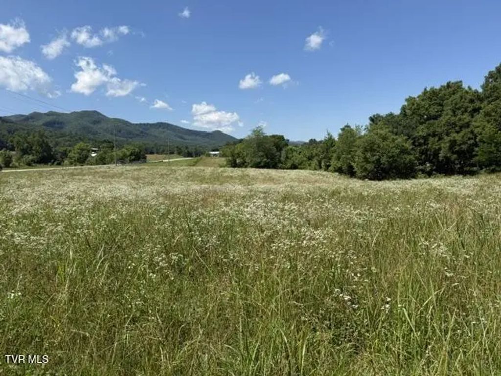 Tbd Highway 107 101 047.01, Jonesborough