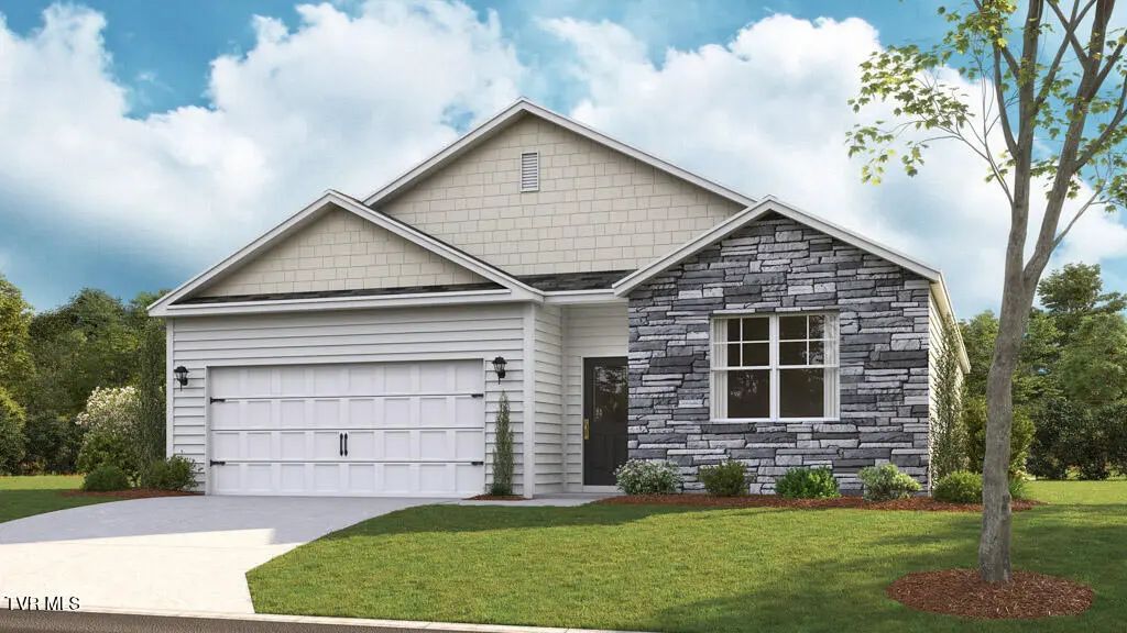 196 Tanasqui Drive, Johnson City