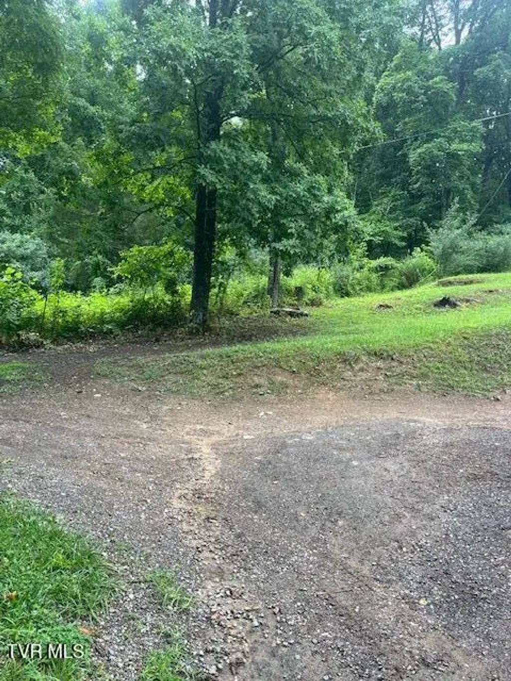 Beartown Road, Kingsport