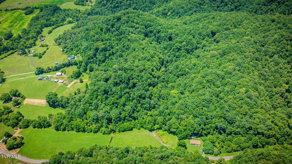 Tbd Hickory Cove Road, Rogersville