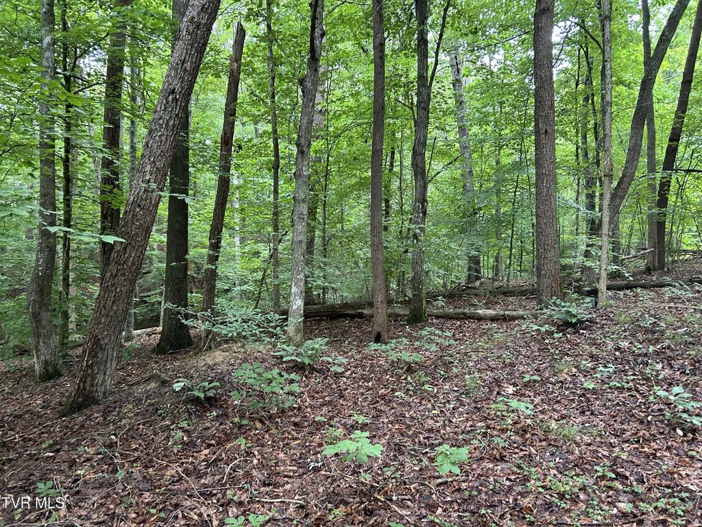 223 West Snowflake Road, Surgoinsville