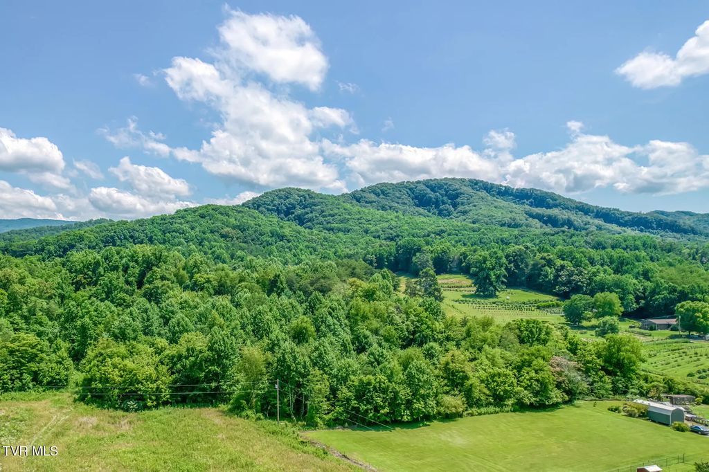 1685 Highway 107 - 24.75 Acres, Jonesborough