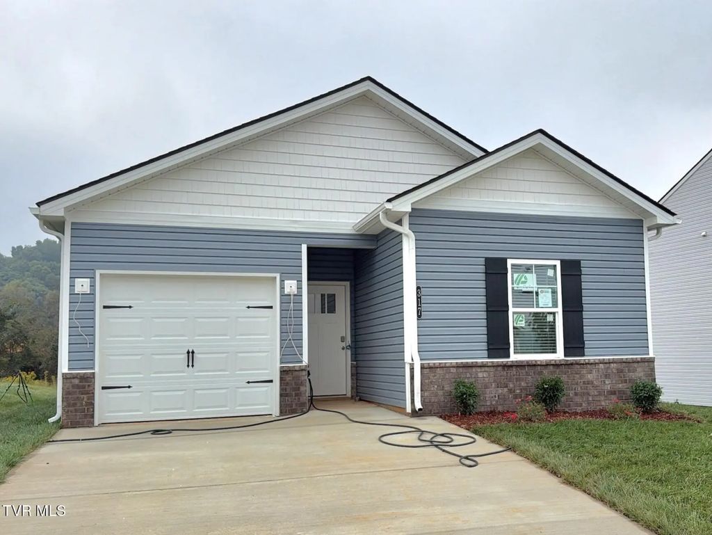 317 Chimney View Loop, Blountville