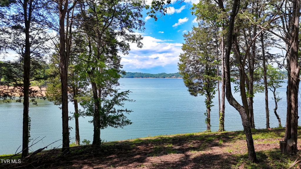 Lot 122 Ridge Point Trail, Dandridge