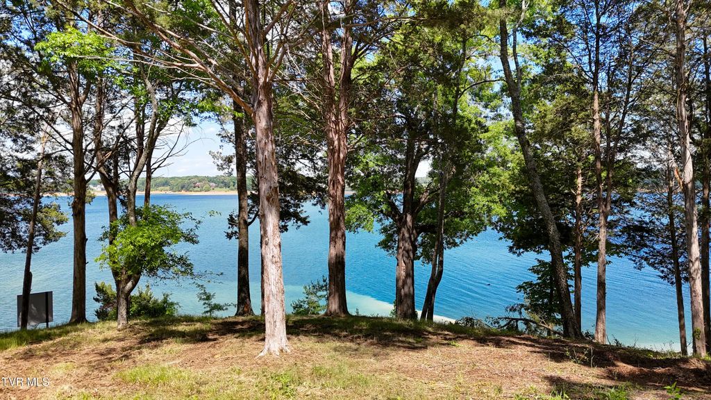 Lot 123 Rdg Pt Trail, Dandridge