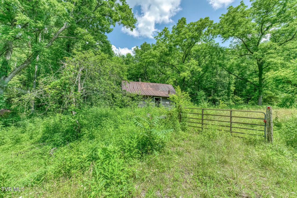 1652 Sciota Road, Elizabethton