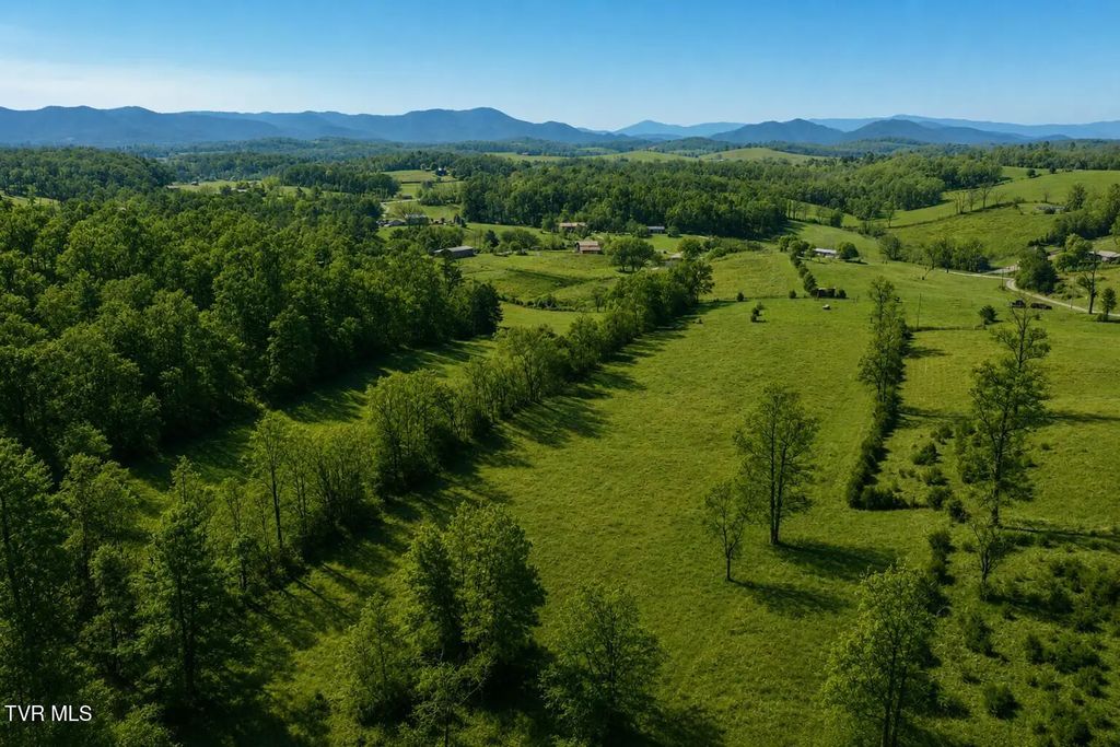 100ac Poplar Springs (tract 2) Road, Greeneville