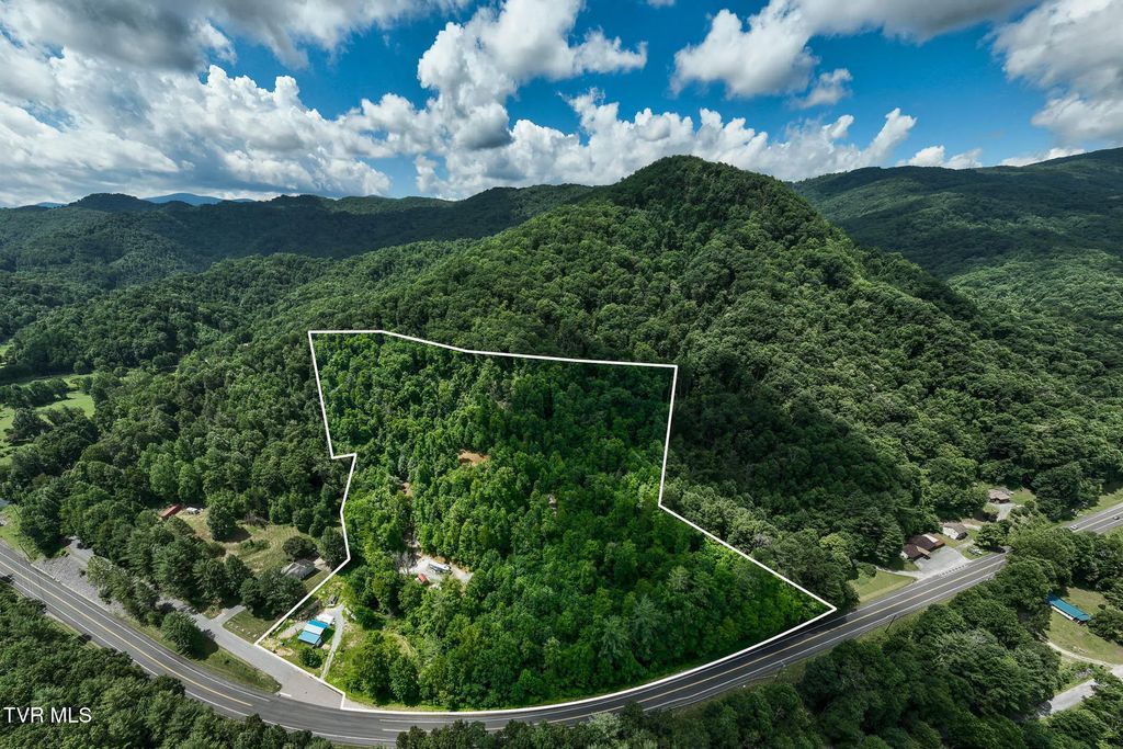 104 Crabtree Road, Roan Mountain