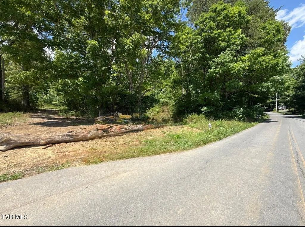 12ac Tbd Max Jett Road, Johnson City