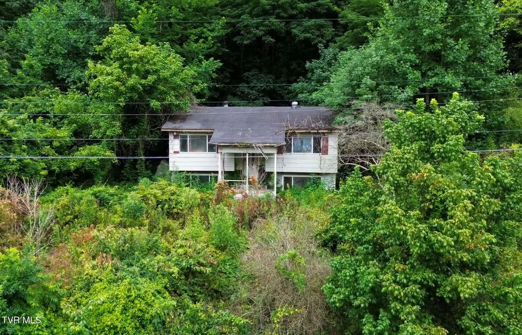30242 North Fork River Road, Saltville