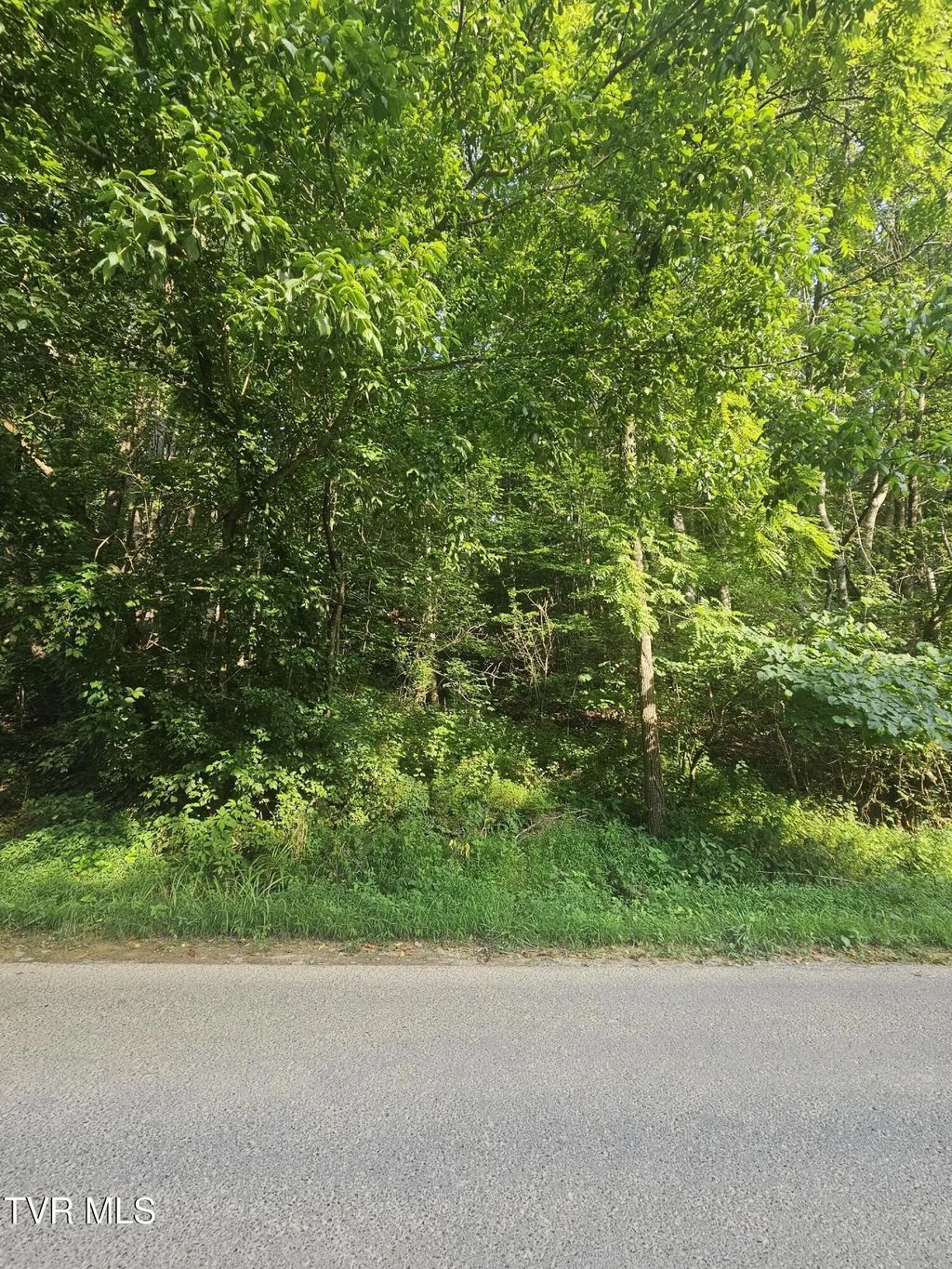 Crusenberry Road, Saltville