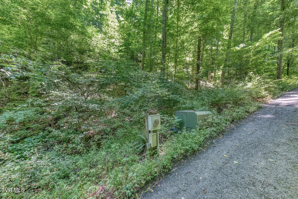 Banjo Ridge, Butler