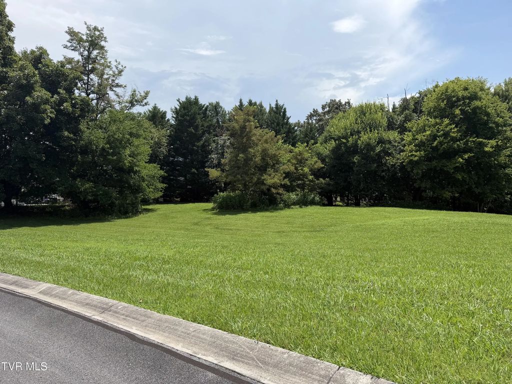 Lot 178 Harbor View 178, Mooresburg