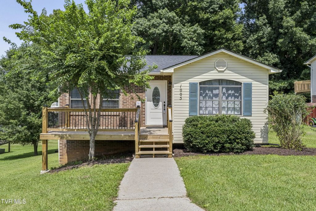 1005 Phillip Drew Drive, Johnson City