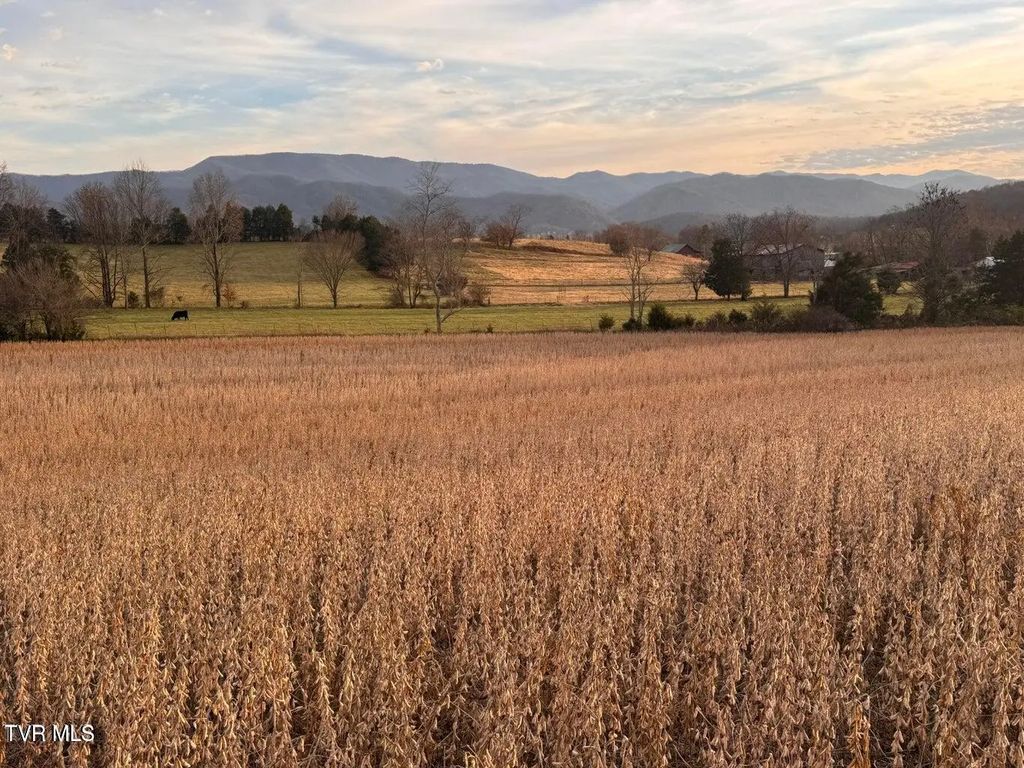 5-ac Pleasant Hill Road, Chuckey