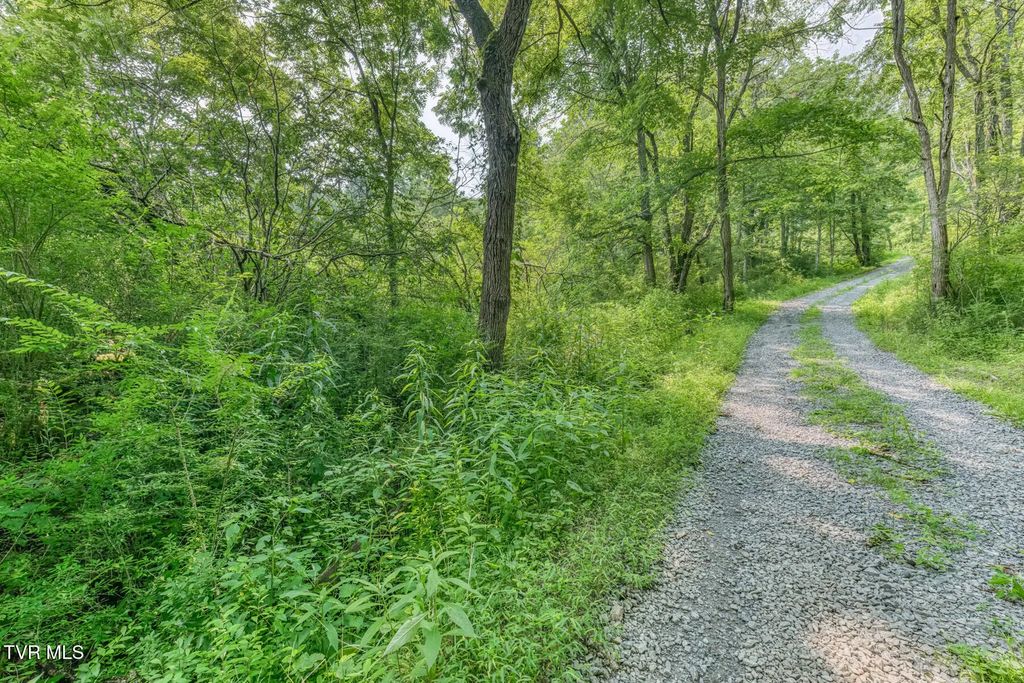 119 Alice Johnson Road 119, Roan Mountain