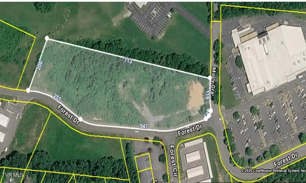 Tbd Forest Drive, Jonesborough