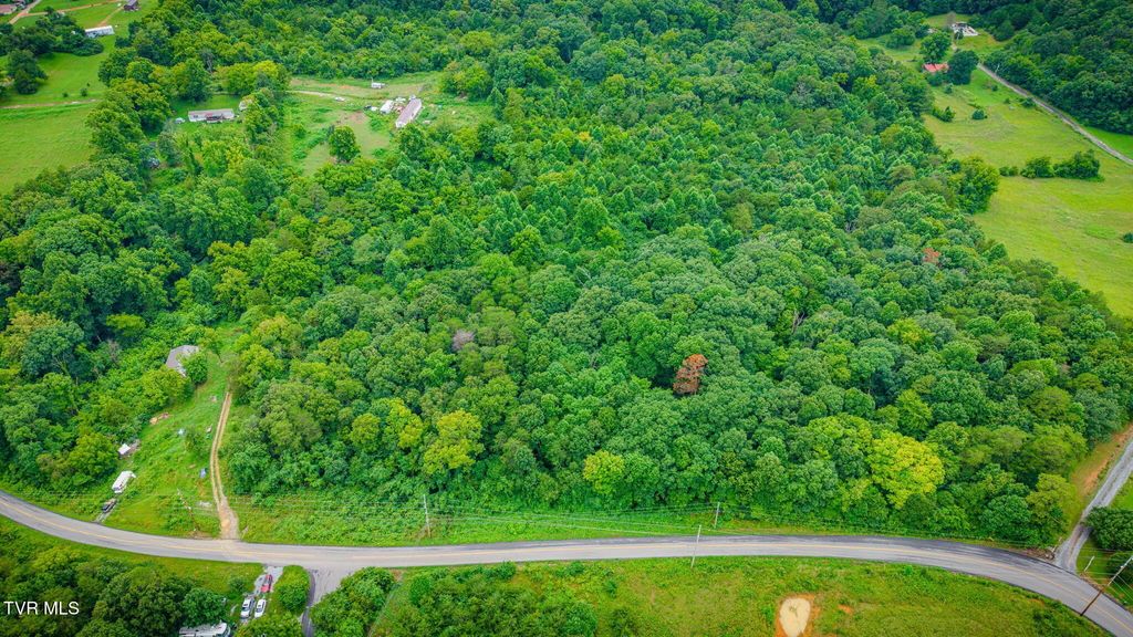 Tbd Forest, Midway