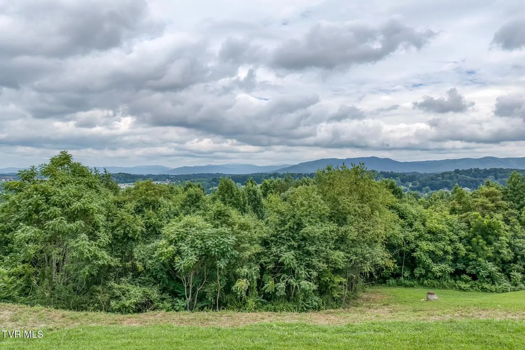 119 Simmons Ridge, Johnson City
