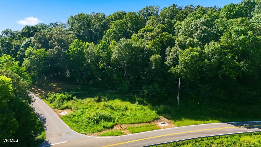 Bright Hope Road, Greeneville