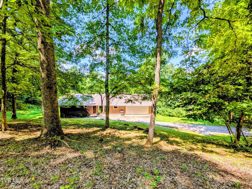 2364 Mountain Drive, Kingsport