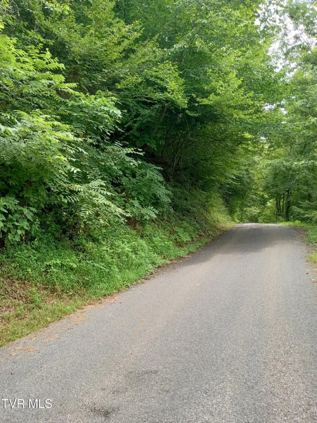 520 Byrd Creek Road, Sneedville