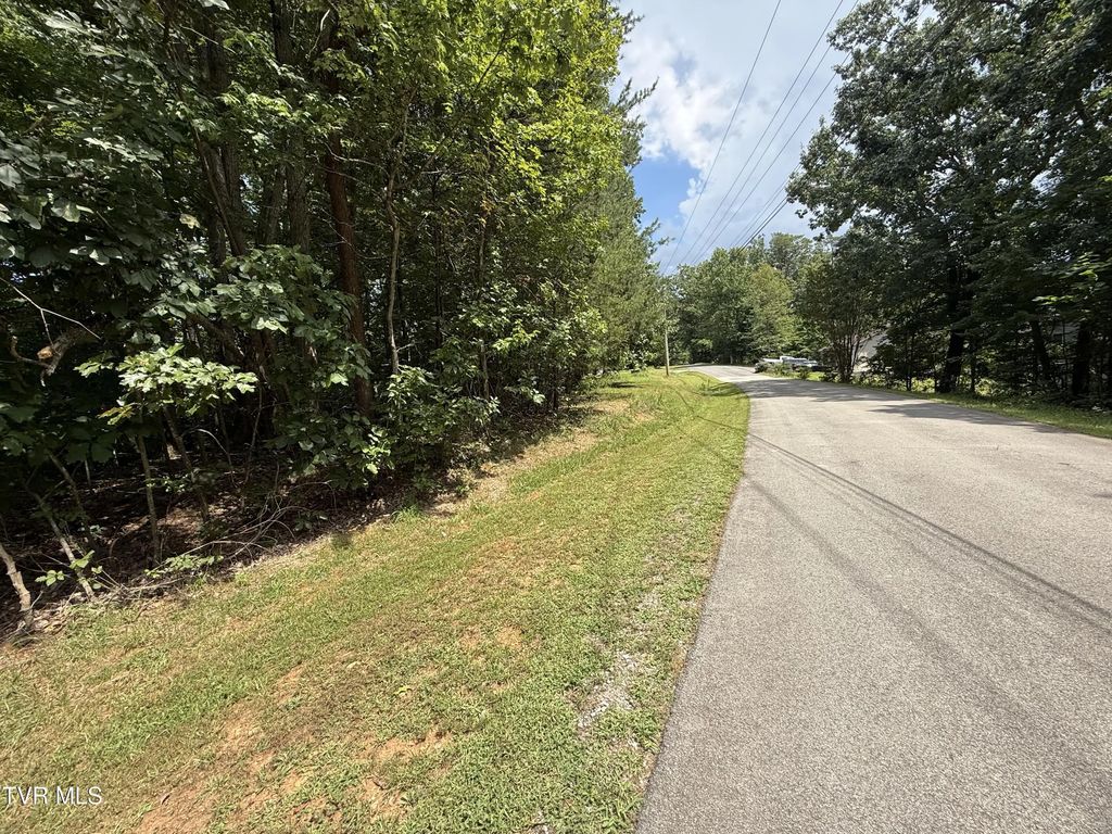 Tbd Iron Gate Drive 969, Baneberry