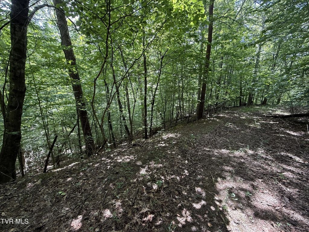 Tbd Mossy Hollow Road, Baneberry