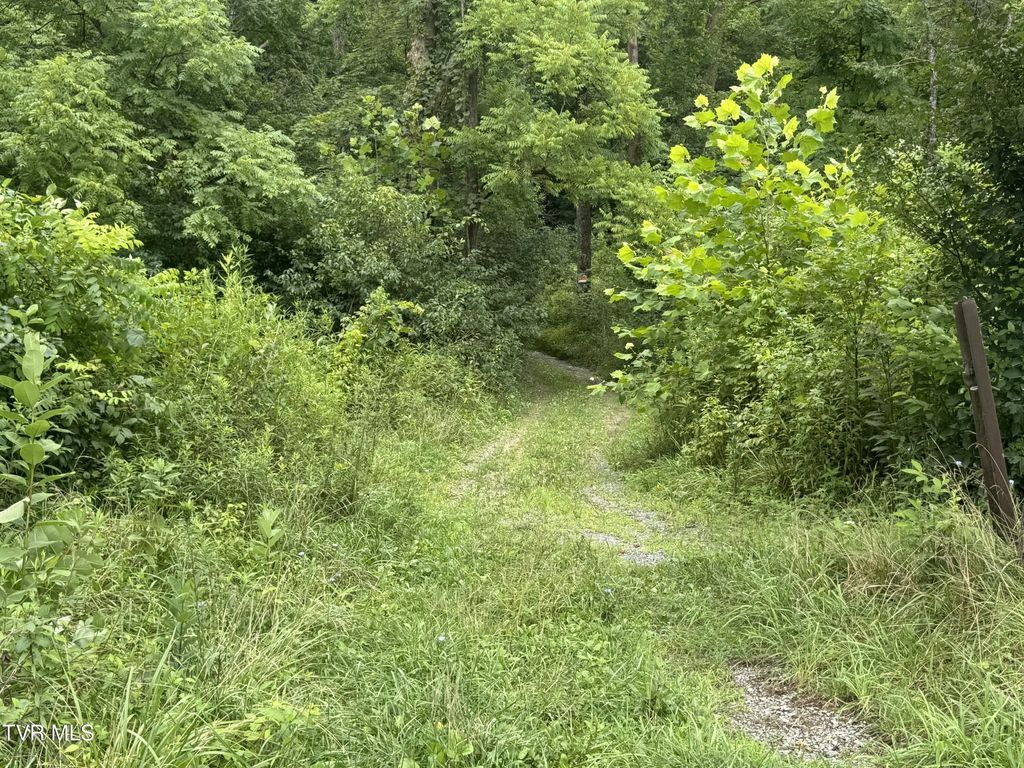 Tbd Pocahontas Trail, Meadowview