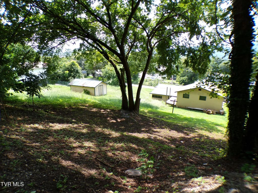 1729 Charles Street, Kingsport