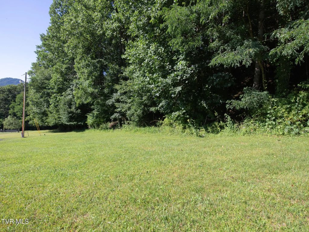 117 Buckner Drive, Roan Mountain