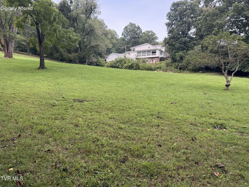 Tract #3 Lee St Off Blanton, Weber City