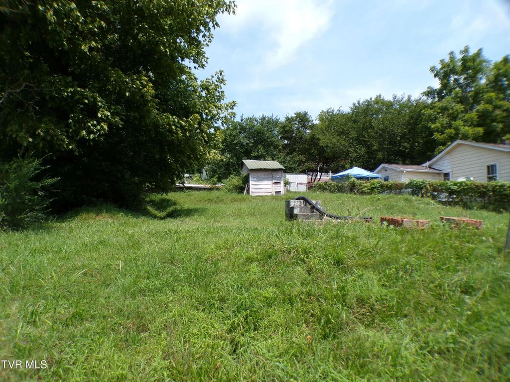 1724 Mcgee Street, Kingsport