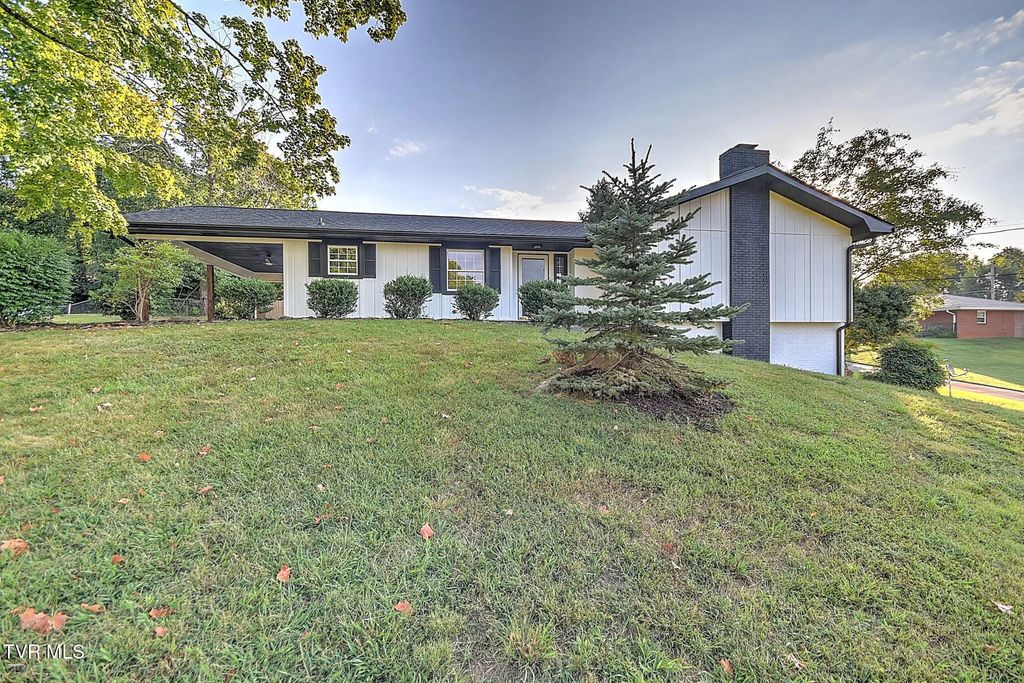 3402 Linkwood Drive, Johnson City