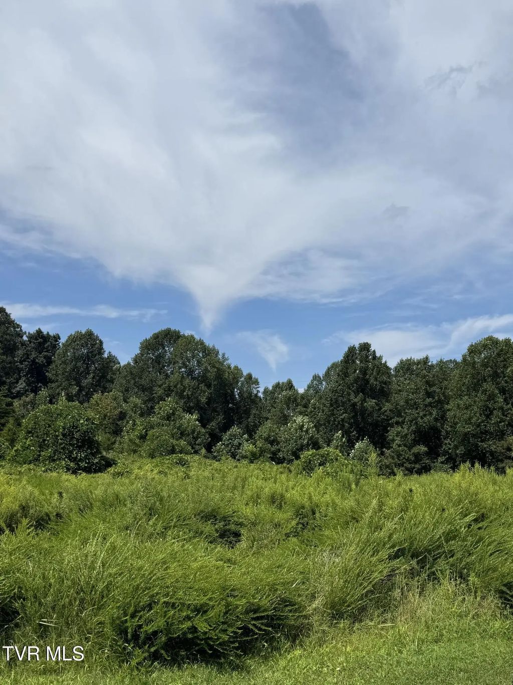 401 Stapleton Drive, Kingsport