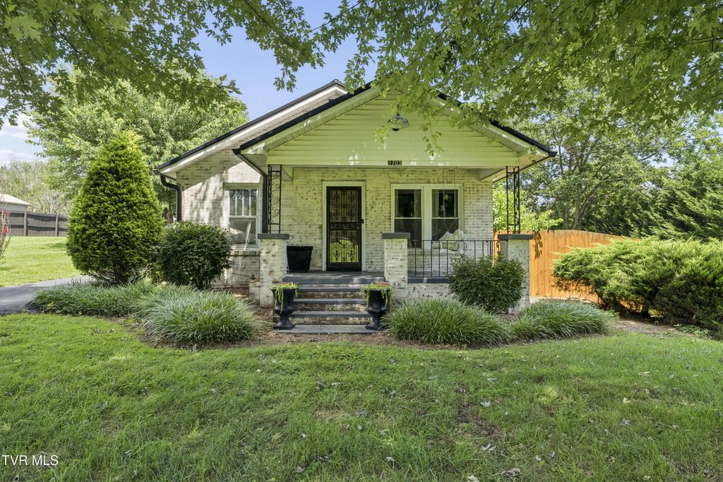 1703 Southwest Avenue, Johnson City