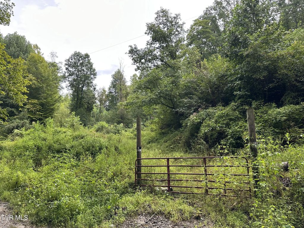 Tbd Canary Trail, Pennington Gap