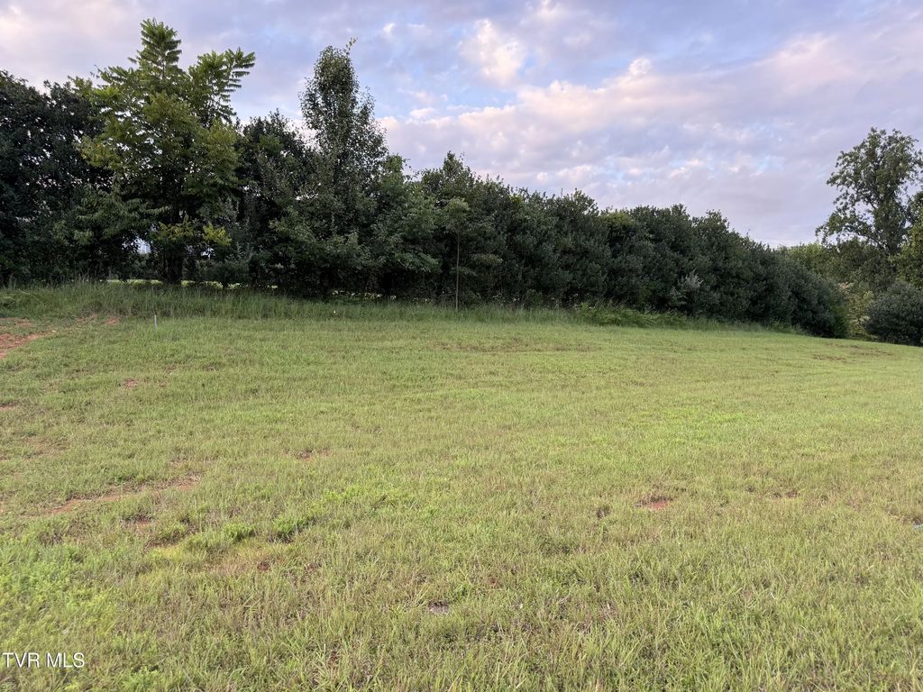 291 Old Island Trail, Kingsport