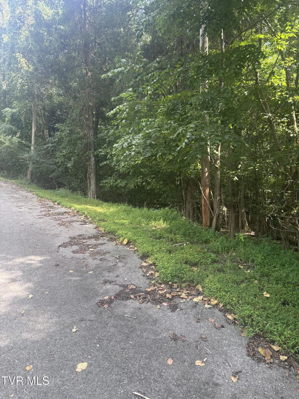 Lot 21-22 Log Cabin Road, Johnson City