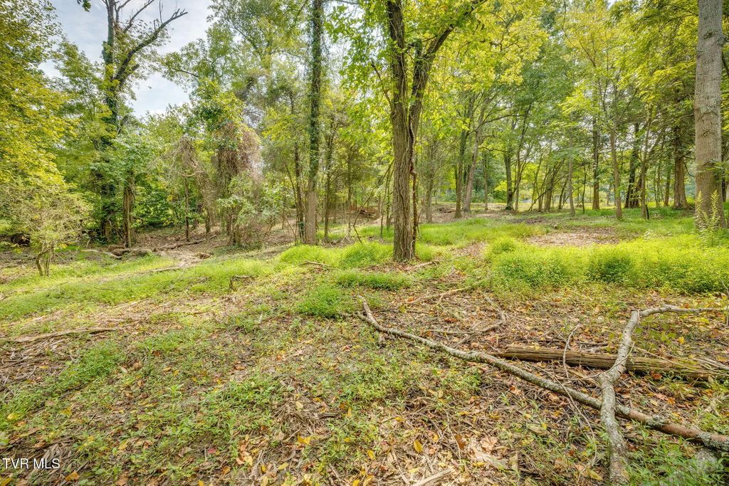 3614 Thornton Drive, Kingsport