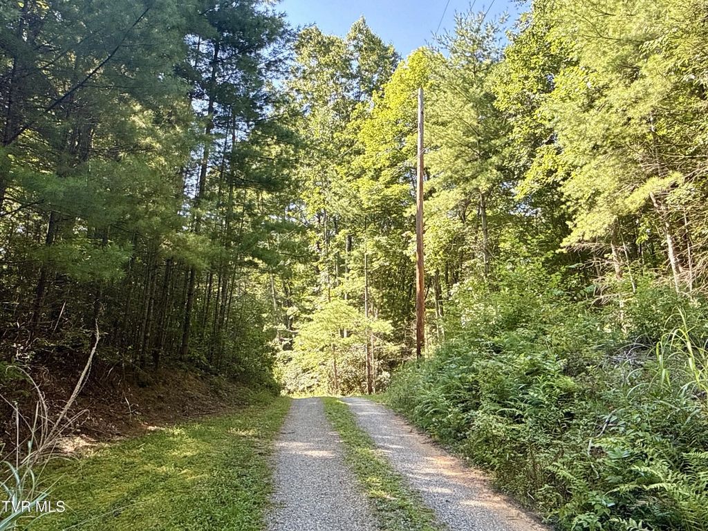 29.38 Acre Bull Mtn Rd Off, Del Rio