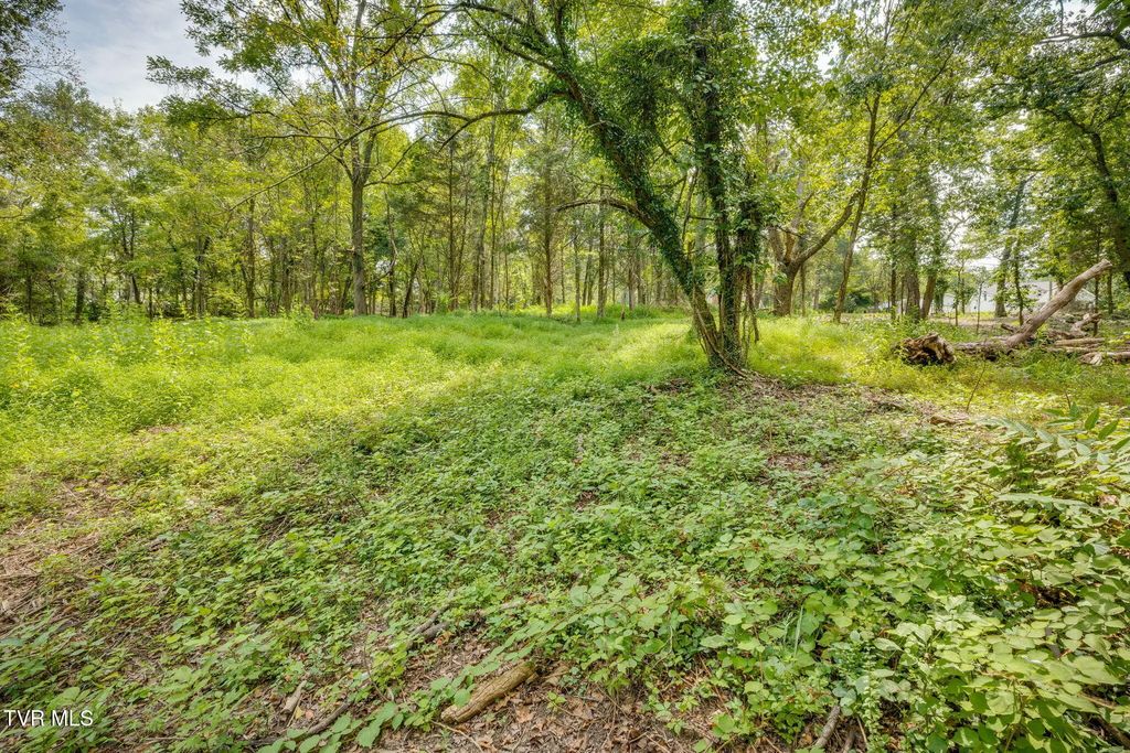 3622 Thornton Drive, Kingsport